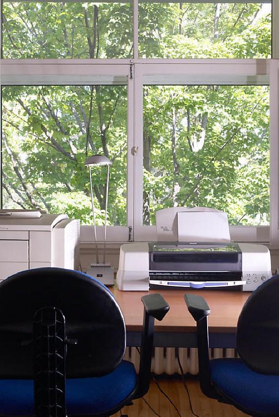 Picture of office overlooking nature.